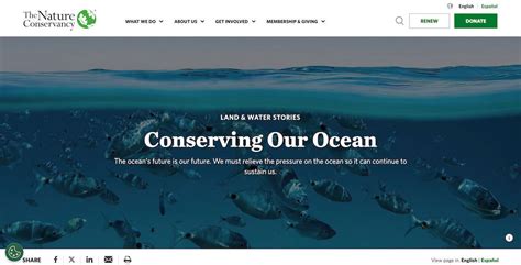 best ocean conservation charities|The 15 Best Ocean Charities .